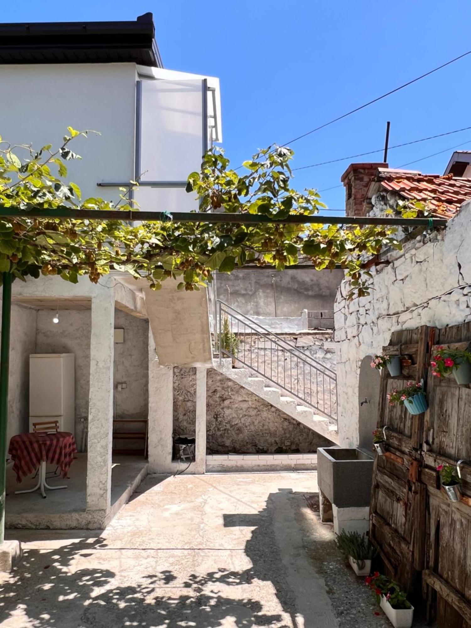 Guest House Kiwi מוסטר מראה חיצוני תמונה